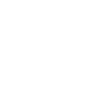 lungs