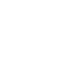 lungs2